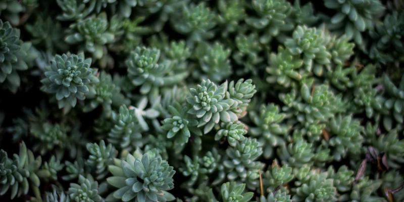 从淄博到世界：陶瓷与玻璃深加工产品的国际赛道与突围之道