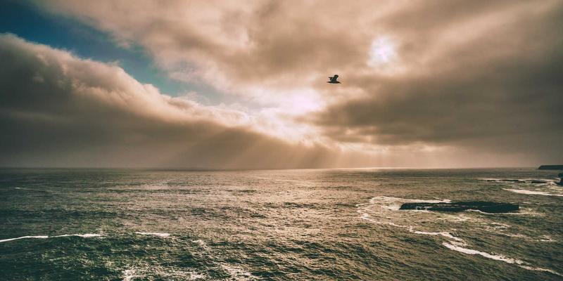 从源头到空间：淄博瑞雪化工如何以绿色生产重塑建筑材料与装修设计新生态