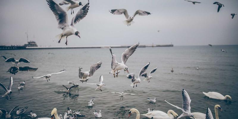 淄博建材市场深度解析:专业物流园区如何赋能装饰工程与建材供应