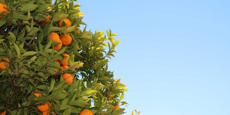 淄博瓷砖选购全攻略：揭秘生产基地知名品牌与装饰工程避坑指南