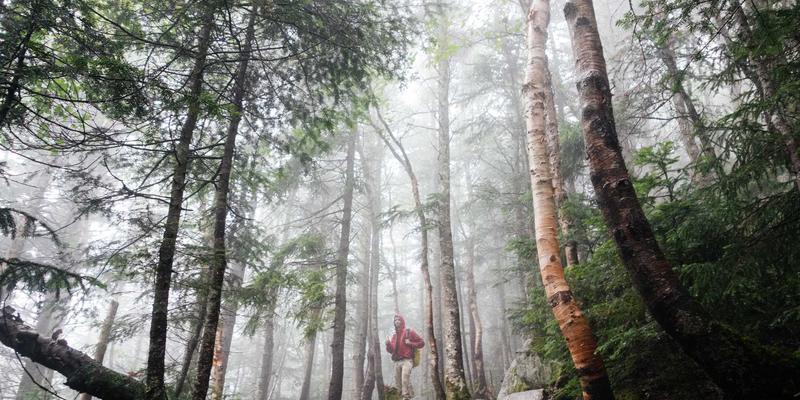 淄博绿色建筑新浪潮:瑞雪建材引领环保建材创新与应用实践