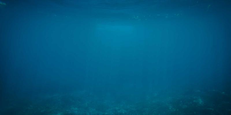 淄博装修必看：本地水泥厂家直销价格与质量深度解析，瑞雪建材等品牌如何选？