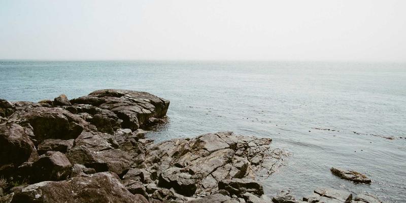 淄博装修必读：建筑防水材料全解析，SBS卷材、涂料品牌与施工工艺避坑指南